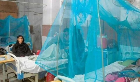 Despite a budget of Rs 1.21 billion, the Sindh government has failed to control malaria.