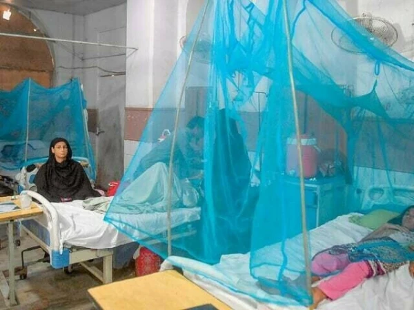 Despite a budget of Rs 1.21 billion, the Sindh government has failed to control malaria.