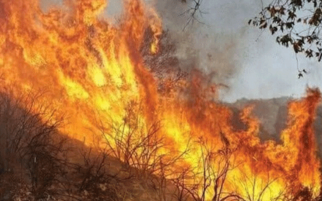 Fire breaks out in mountain range in Malakand