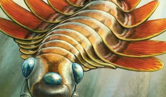 Remains of 3-eyed creature from 500 million years ago discovered in Canada