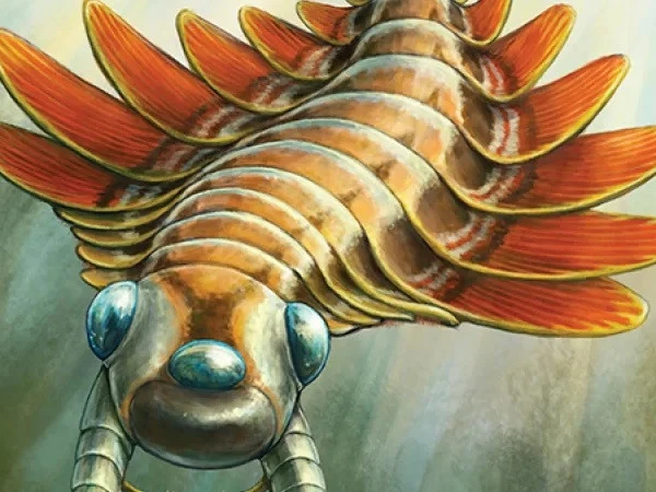 Remains of 3-eyed creature from 500 million years ago discovered in Canada