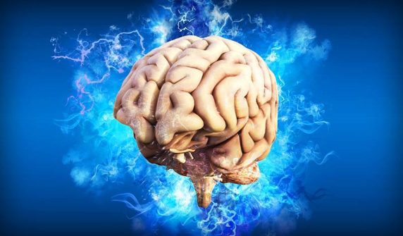 BRAIN