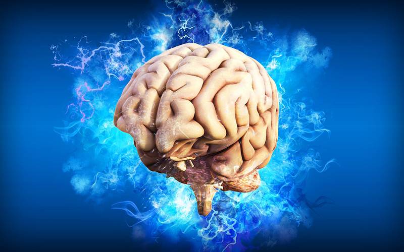 BRAIN