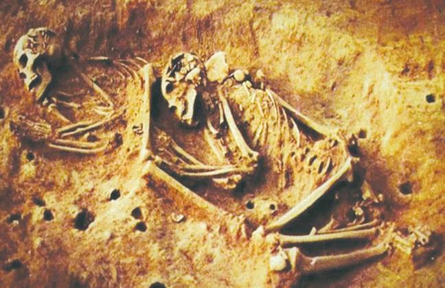 6,000-year-old human skeleton