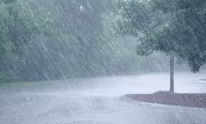 Rain likely in Punjab