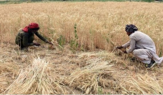 farmers' development fund