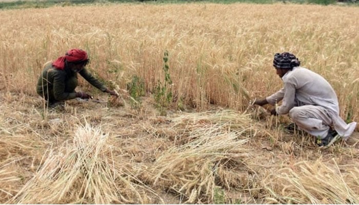 farmers' development fund