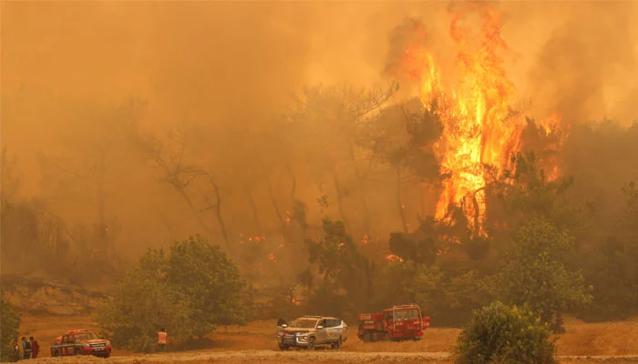 10 firefighters and rescue workers killed fighting forest fire