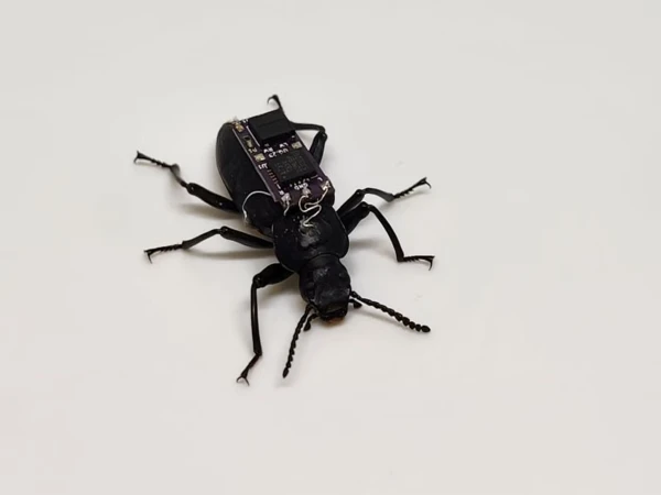 'Cyborg Beetle'
