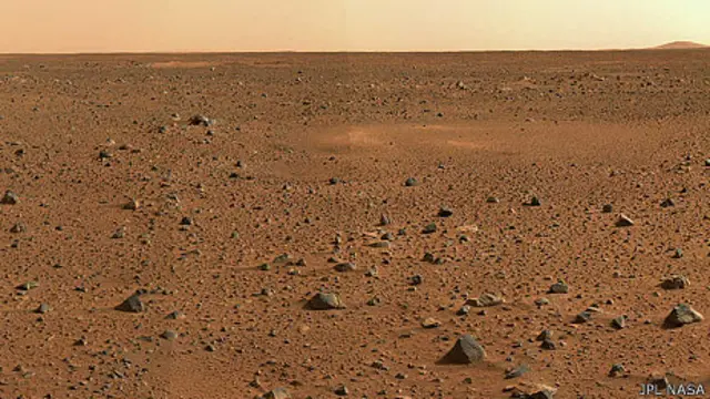 How did life begin on Earth