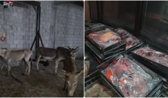 Investigation into donkey meat export case in Islamabad has been completed