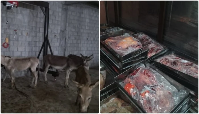 Investigation into donkey meat export case in Islamabad has been completed