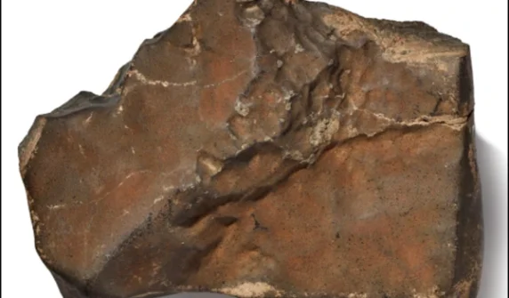 Mars rock found on Earth
