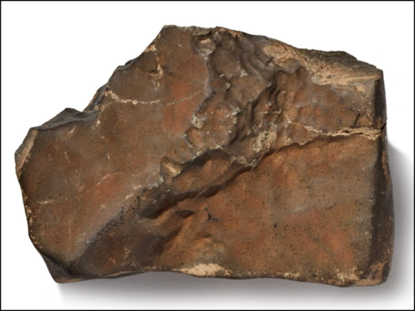 Mars rock found on Earth