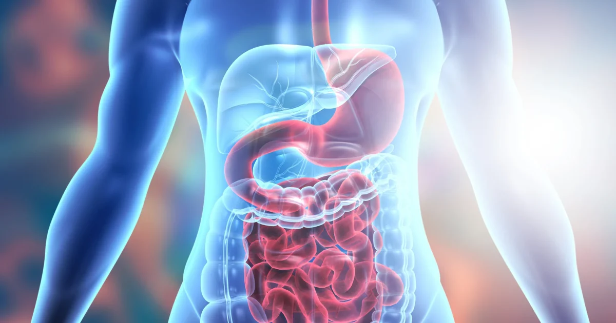 Natural system that helps control hunger discovered in human intestines