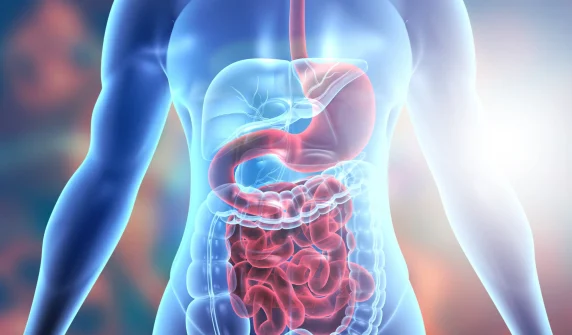 Natural system that helps control hunger discovered in human intestines