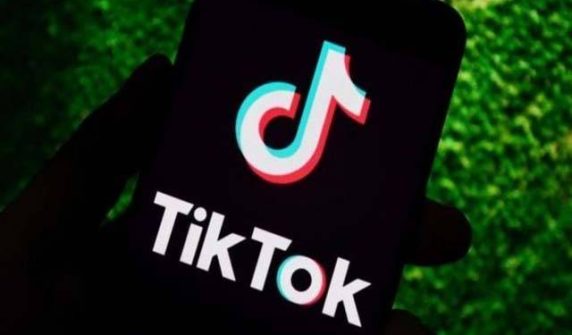Pakistanis did TikTok delete in three months