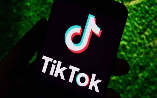 Pakistanis did TikTok delete in three months