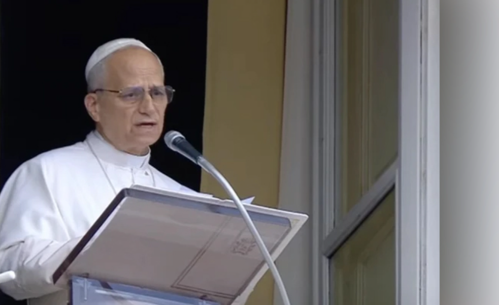 Pope Leo expresses concern over hunger deaths in Gaza