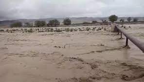Rains wreak havoc in various districts of Balochistan
