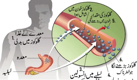 Revolutionary treatment discovered
