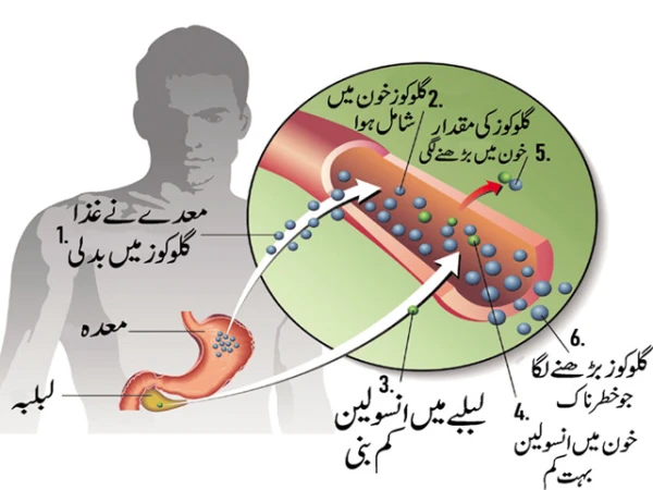Revolutionary treatment discovered