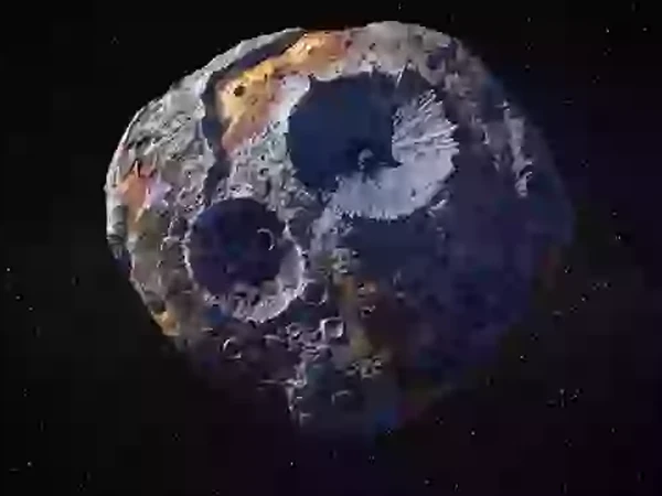 Sensational revelation about the treasure worth