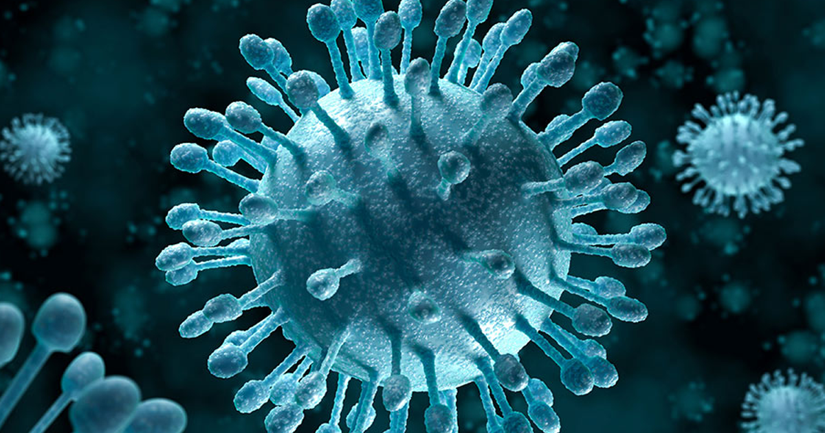 Virus considered harmless identified