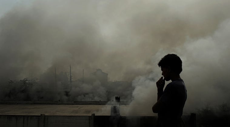 What are the risks to the brain from breathing polluted air