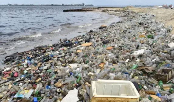 plastic exposure and poor diet