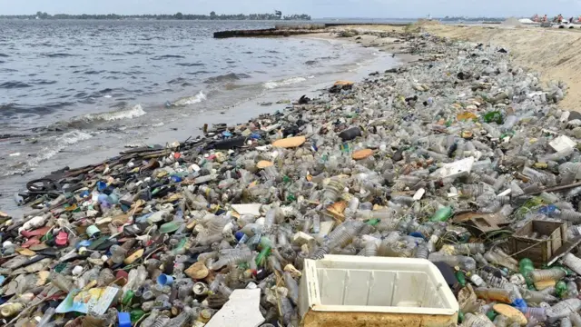 plastic exposure and poor diet