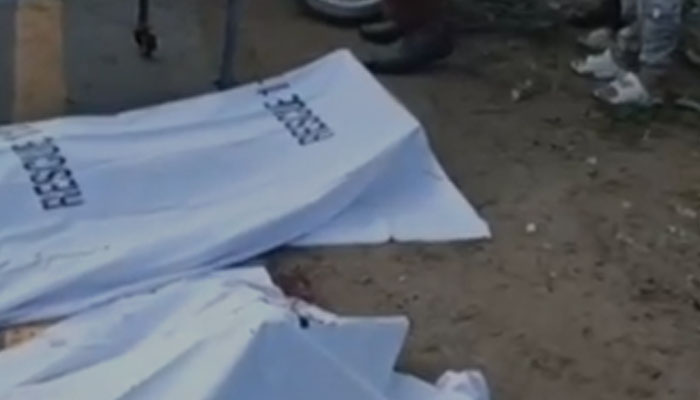 2 boys sitting on the roof of a bus fall to their deaths after hitting a tree branch