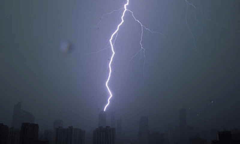 23 cattle killed by lightning in Tharparkar