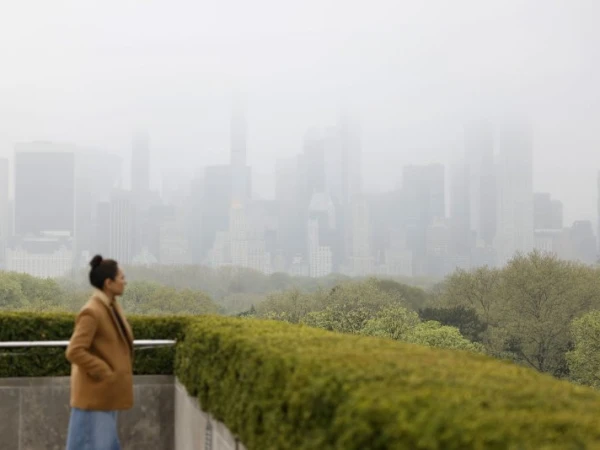 Can visiting green places reduce depression