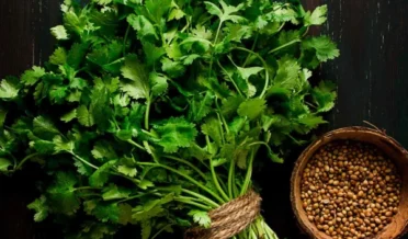 Coriander is considered beneficial for inflammation