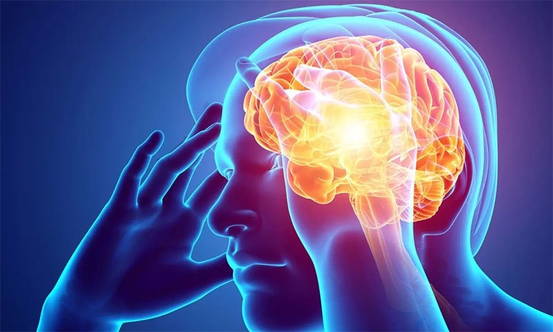 Deficiency of key metal in the brain identified as possible cause of dangerous disease