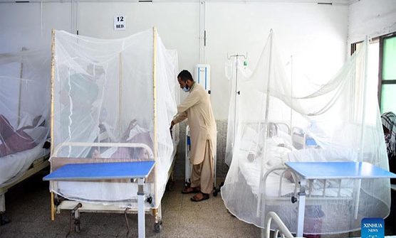 Dengue virus spreads rapidly in Khyber Pakhtunkhwa