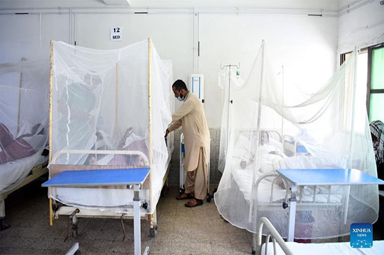 Dengue virus spreads rapidly in Khyber Pakhtunkhwa