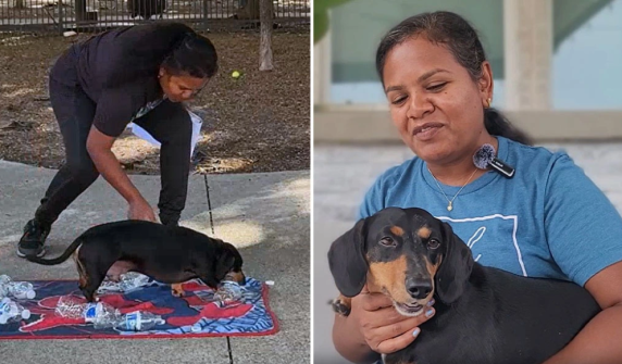 Dog in America sets bizarre world record by opening bottle caps