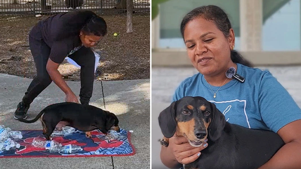 Dog in America sets bizarre world record by opening bottle caps