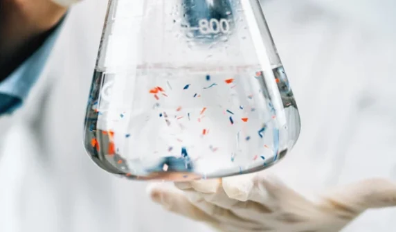 'Forever chemicals' identified as a barrier to weight loss in young people