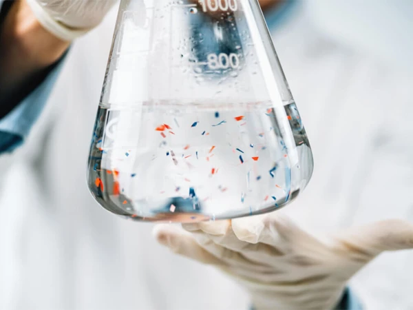 'Forever chemicals' identified as a barrier to weight loss in young people