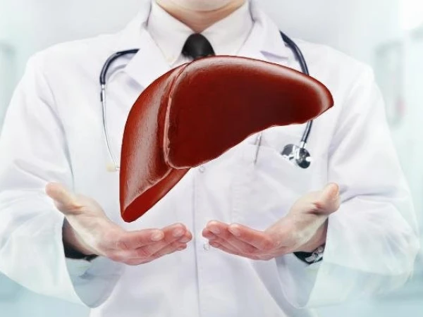 Liver cancer is often preventable, new research suggests