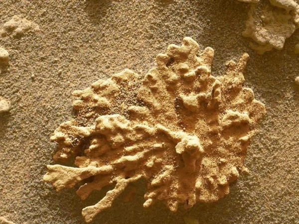 NASA's spacecraft discovers strange rock formation on Mars