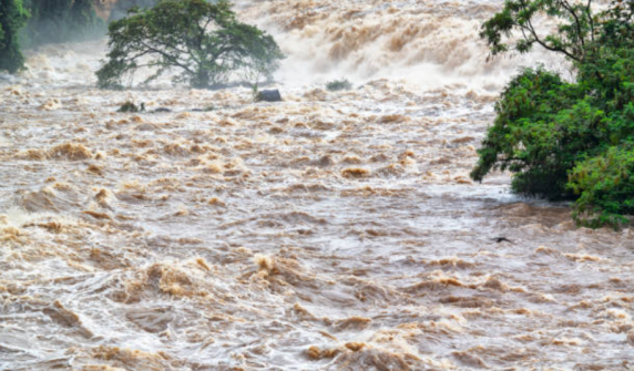 New series of rains; River levels high, Meteorological Department issues flood alert