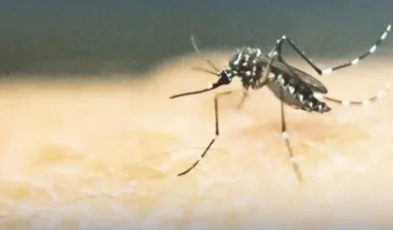 One person dies of dengue in Charsadda