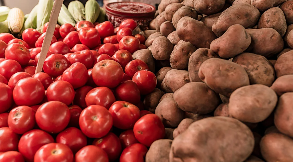 Potatoes and tomatoes turn out to be the product of the same plant, a shocking revelation