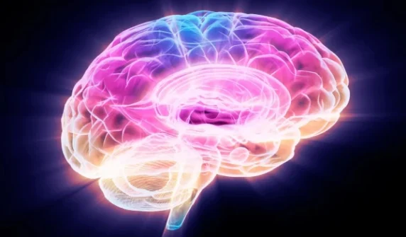 Protein discovered that prevents brain aging