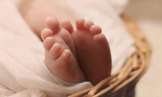 Ruthless heirs put a 2-day-old baby in a shopping bag and threw it in the garbage