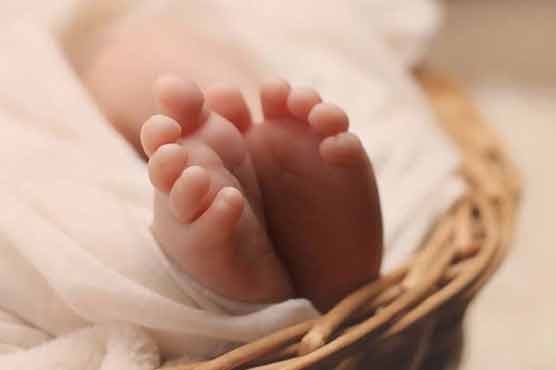 Ruthless heirs put a 2-day-old baby in a shopping bag and threw it in the garbage